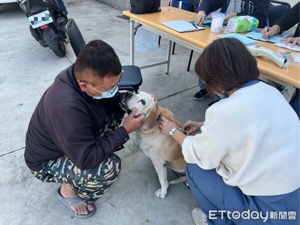 ▲狂犬病鼬獾近年仍持續被驗出病例，動保單位提醒民眾若發現異常野生動物出沒，應提高警覺、勿靠近接觸，飼主每年定期替犬貓施打狂犬病疫苗，降低狂犬病傳播風險。（圖／記者林東良翻攝，下同）