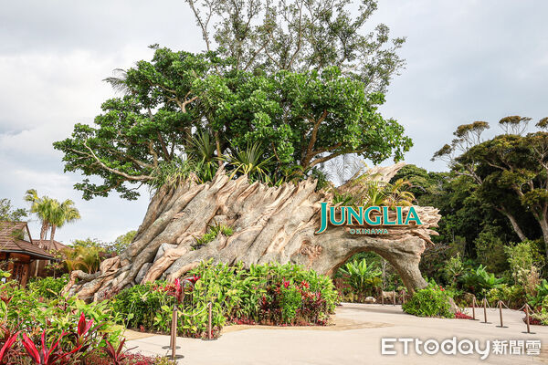 ▲▼沖繩叢林樂園。（圖／記者蔡玟君攝）