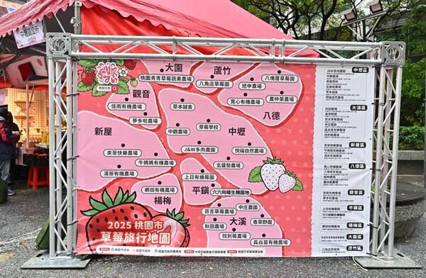 ▲桃園草莓食農聖誕市集開幕