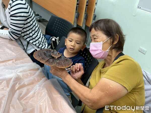 ▲台南市家庭教育中心推動代間教育，透過共學與手作活動，拉近祖孫距離，深化家庭情感連結。（圖／記者林東良翻攝，下同）