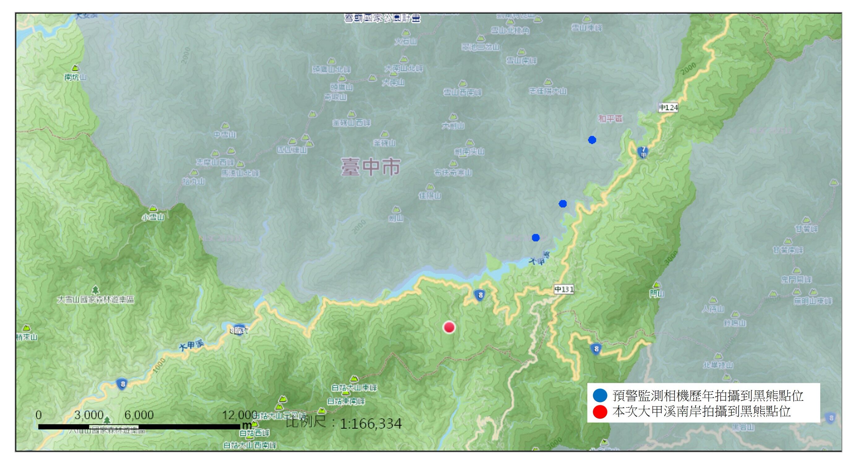 ▲黑熊,梨山。（圖／林業署台中分署提供）