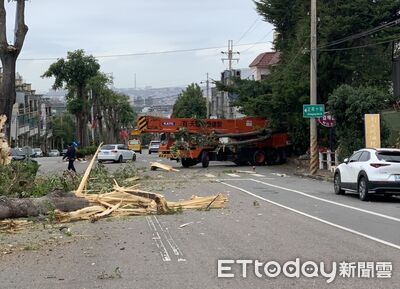 吊車煞車失靈倒退嚕300米！鏟翻整排路樹　後車摩西分海急閃躲