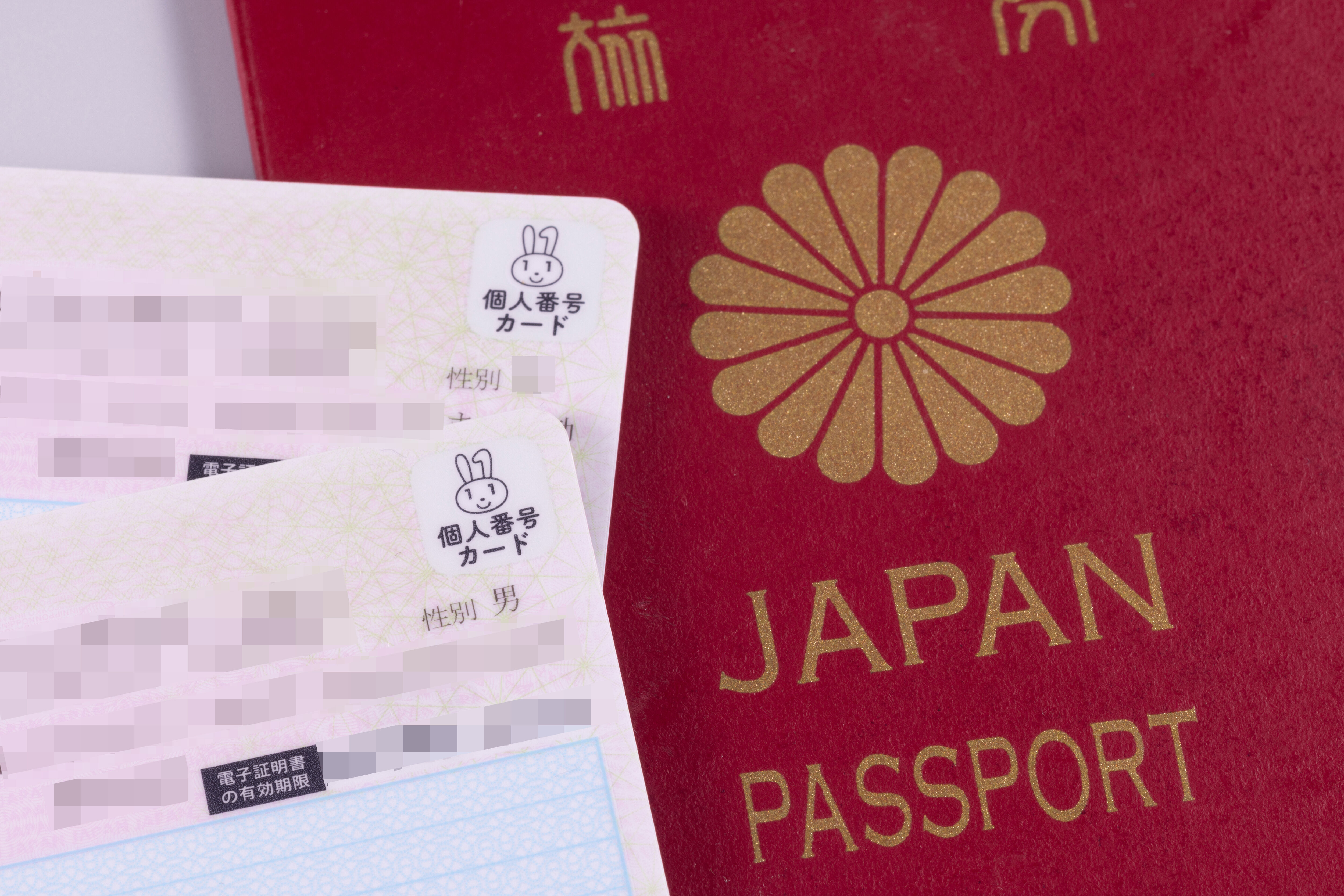 ▲▼日本護照。(圖/達志影像)