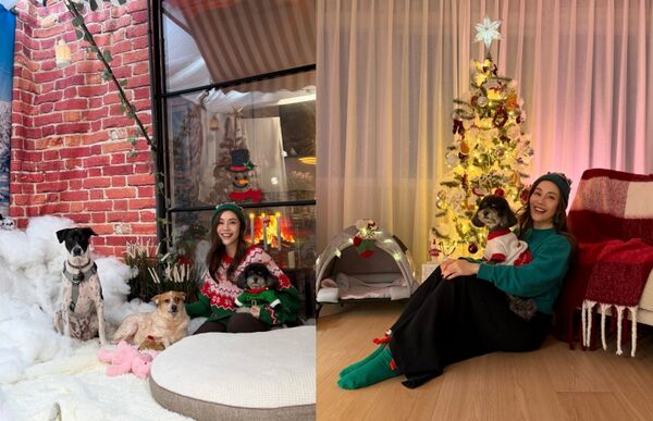 ▲▼王宇婕聖誕前夕突送急診開刀「以為胃痛忍忍就好」。（圖／翻攝自Facebook／王宇婕 Margaret Wang）