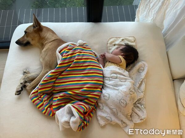 ▲。（圖／Threads@__chloe1026提供，請勿隨意翻拍，以免侵權。）