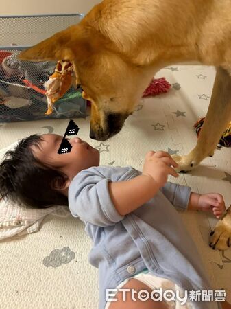 ▲。（圖／Threads@__chloe1026提供，請勿隨意翻拍，以免侵權。）