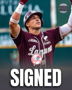 洋基突襲補強！「MVP」打線再加1　今年打擊率.345、OPS 1.147