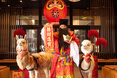 四維航Q4散裝船運價加高　綠舞飯店普發金添業績、春節推早鳥優惠