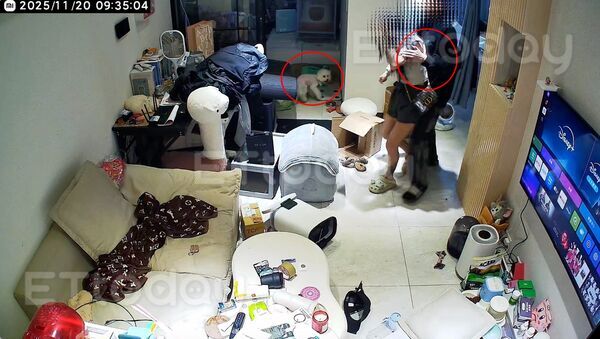 ▲墜樓案發生之前，監視器拍下雙方有推擠衝突            。（圖／當事人律師提供）