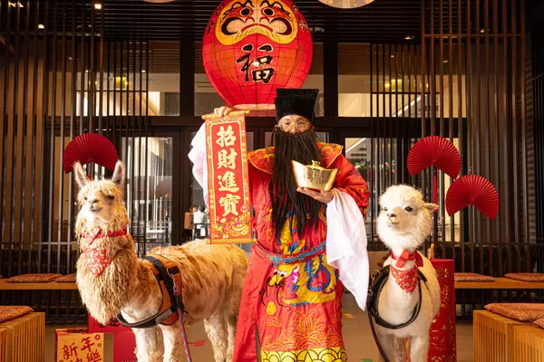 ▲綠舞大年初一及初二有財神羊駝巡禮活動向旅客們拜年賀新春。（圖／綠舞提供）