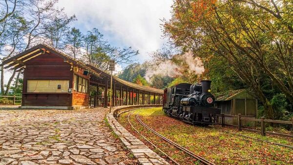 ▲▼阿里山眠月線秘境路線公開。（圖／ReadyGo提供）