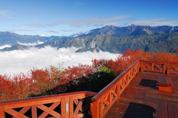 ▲▼阿里山眠月線秘境路線公開。（圖／ReadyGo提供）