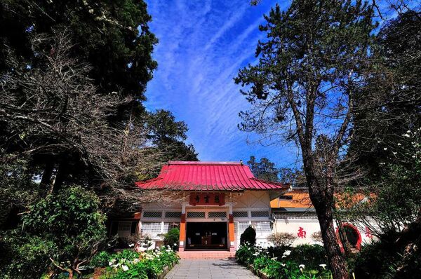 ▲▼阿里山眠月線秘境路線公開。（圖／ReadyGo提供）