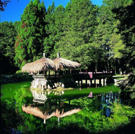 ▲▼阿里山眠月線秘境路線公開。（圖／ReadyGo提供）