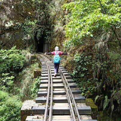 ▲▼阿里山眠月線秘境路線公開。（圖／ReadyGo提供）