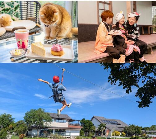 ▲在綠舞可享日式浴衣換裝、DIY體驗、萌寵互動、貓咪咖啡廳、滑索等一站式旅遊。（圖／綠舞提供）
