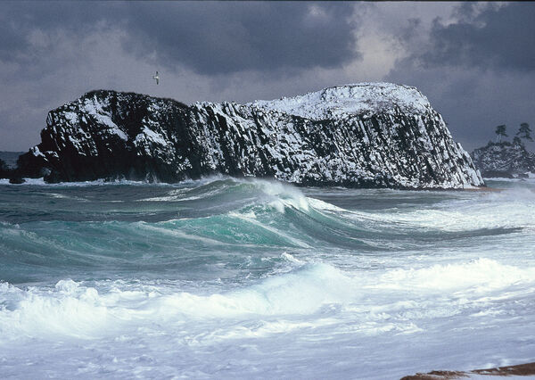 ▲▼海之京都冬日景點。（圖／海之京都 DMO 提供）