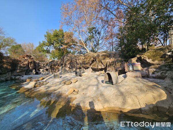▲▼2025雙城論壇，上海動物園，黑腳企鵝環境。（圖／記者陳冠宇攝）