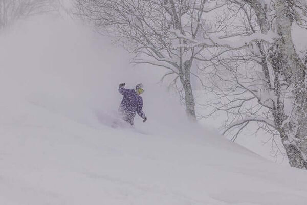 ▲▼北海道雪場攻略。（圖／ReadyGo提供）