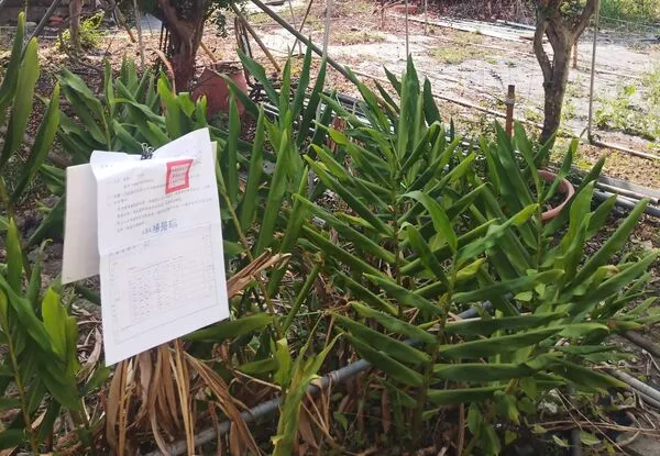 ▲▼             。（圖／記者張雅雲攝）