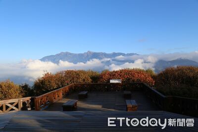阿里山春節長假住宿早鳥開跑