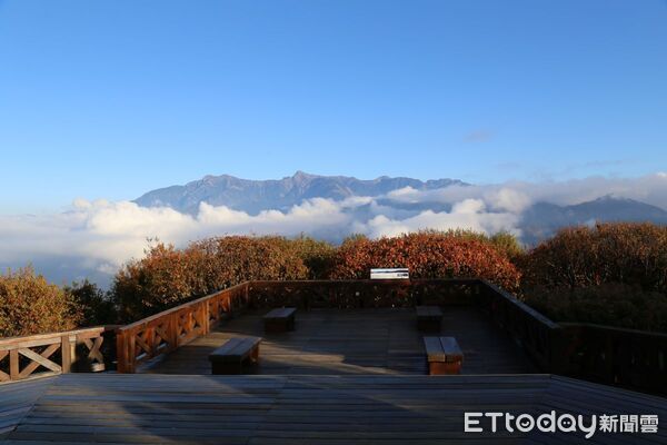 ▲▼    搶攻農曆春節，阿里山賓館送新春限定「Win -Win森林密馬」福袋，暢玩〈孤獨星球〉旅遊指南必遊鐵道、櫻花主題房早鳥優惠開跑，限時預訂搶粉紅商機  。（圖／阿里山賓館提供）