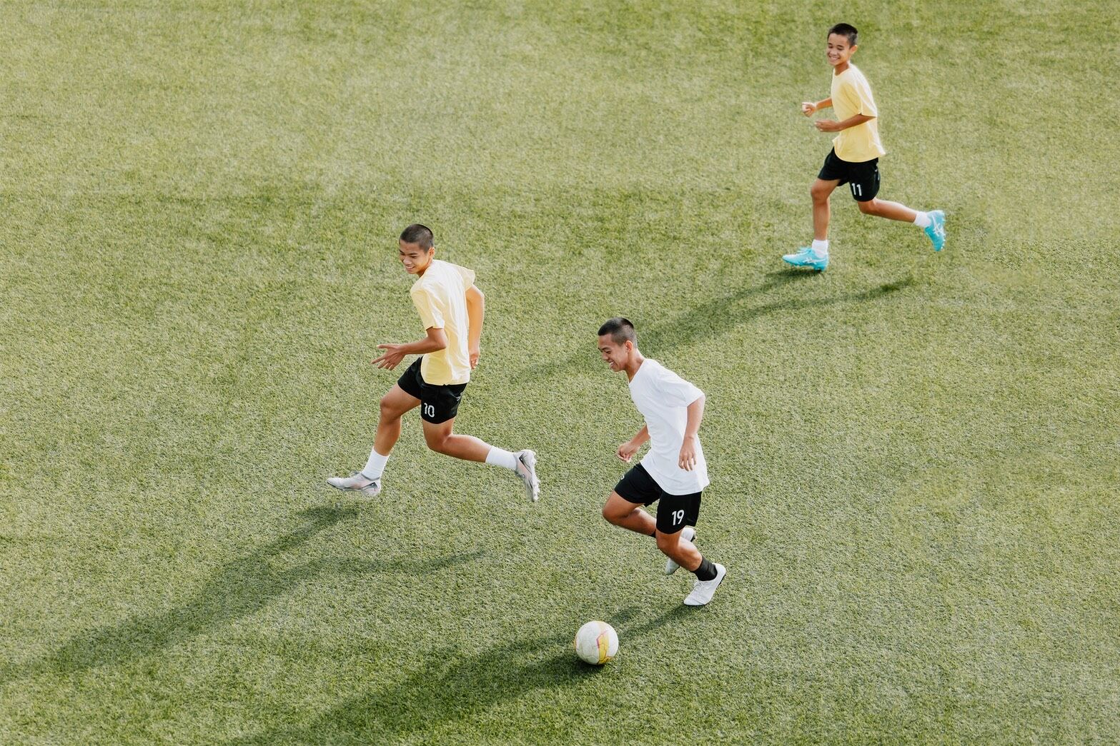 ▲▼蔡依林,國泰世華,大樹計畫,公益。（圖／國泰世華提供）