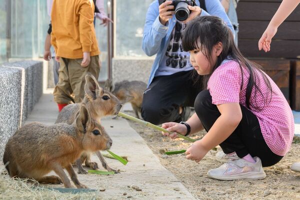 ▲▼高雄野森動物學校。（圖／高雄市政府提供）