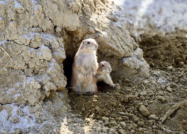 ▲▼高雄野森動物學校。（圖／高雄市政府提供）