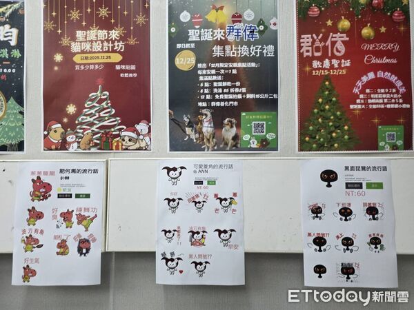 ▲台南市勞工局辦理身障電腦職訓班結訓，18位學員完成辦公室圖文與AI雲端應用培訓，迎向職場新未來。（記者林東良翻攝，下同）