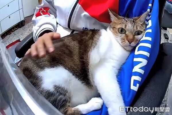 ▲。（圖／Threads@bibi_oec提供，請勿隨意翻拍，以免侵權。）