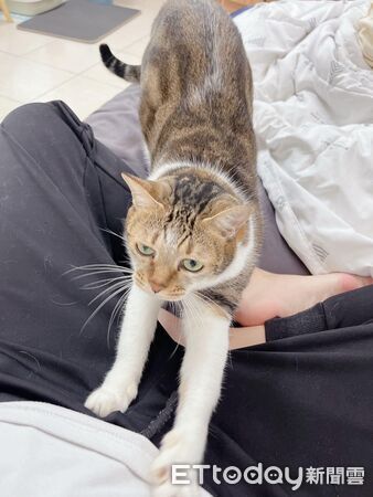 ▲。（圖／Threads@bibi_oec提供，請勿隨意翻拍，以免侵權。）