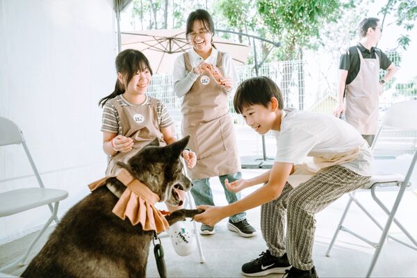 毛孩森活村。（圖／農業部提供）