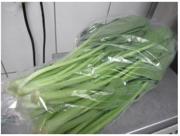 ▲▼涮乃葉的油菜農藥超標。（圖／食藥署提供）