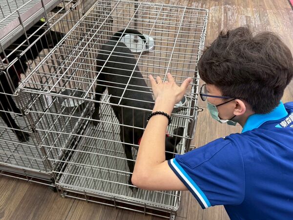 毛孩送養會。（圖／東森寵物提供）