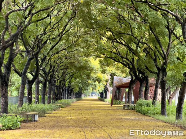 ▲東螺溪水綠廊道健行民眾。（圖／縣府提供）