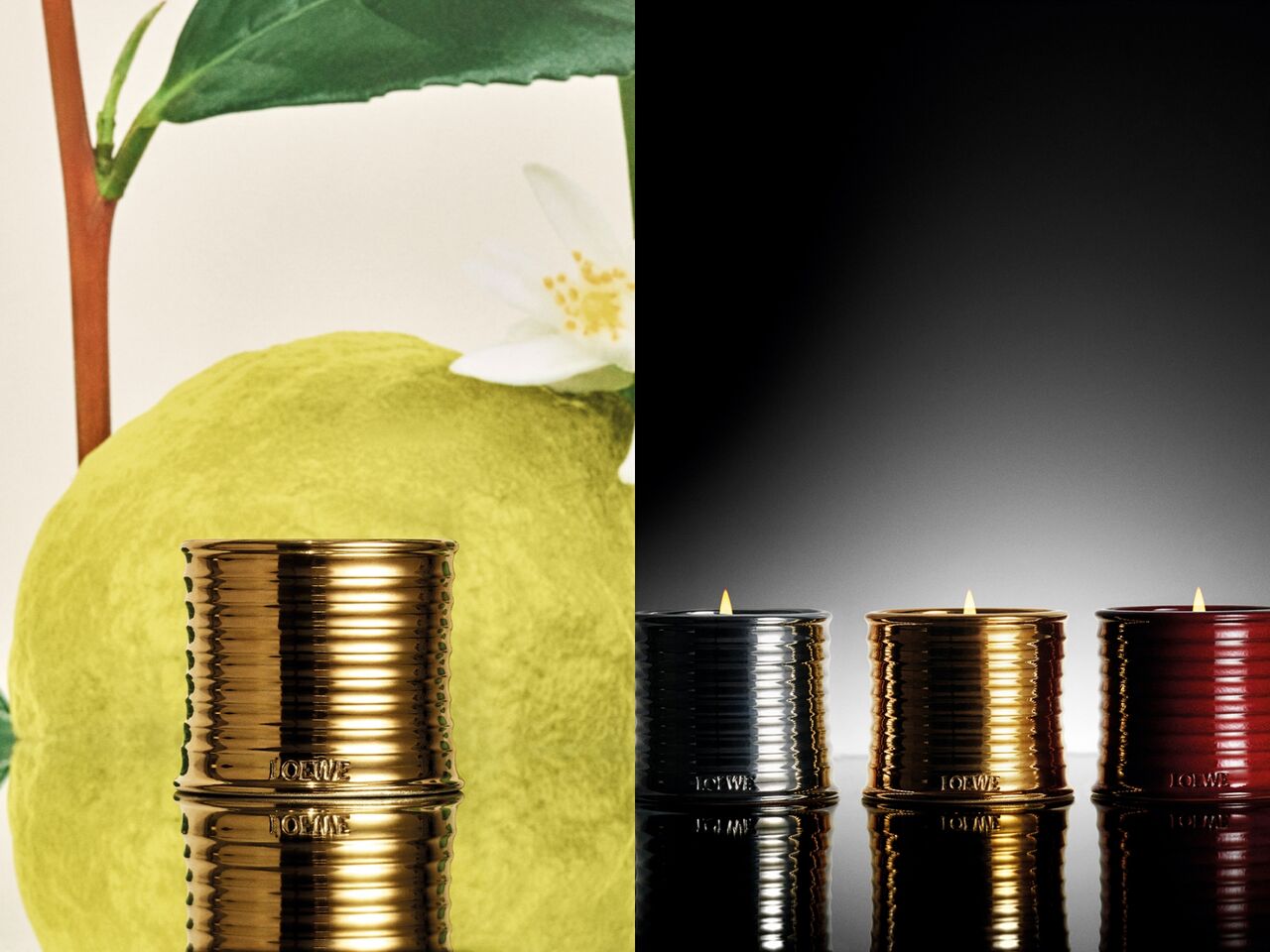 迪奧,DIOR,loewe,香氛,香水,香氣,。（圖／品牌提供）