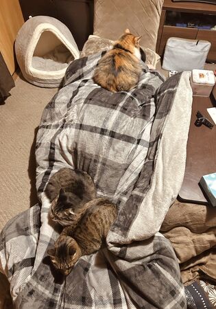 ▲。（圖／翻攝自X／@raden108s）