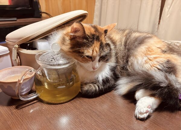 ▲。（圖／翻攝自X／@raden108s）