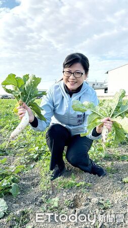 ▲▼太保市公所偕同地方舉辦「拔蘿蔔、迎新春」食農體驗行動。（圖／記者翁伊森翻攝）