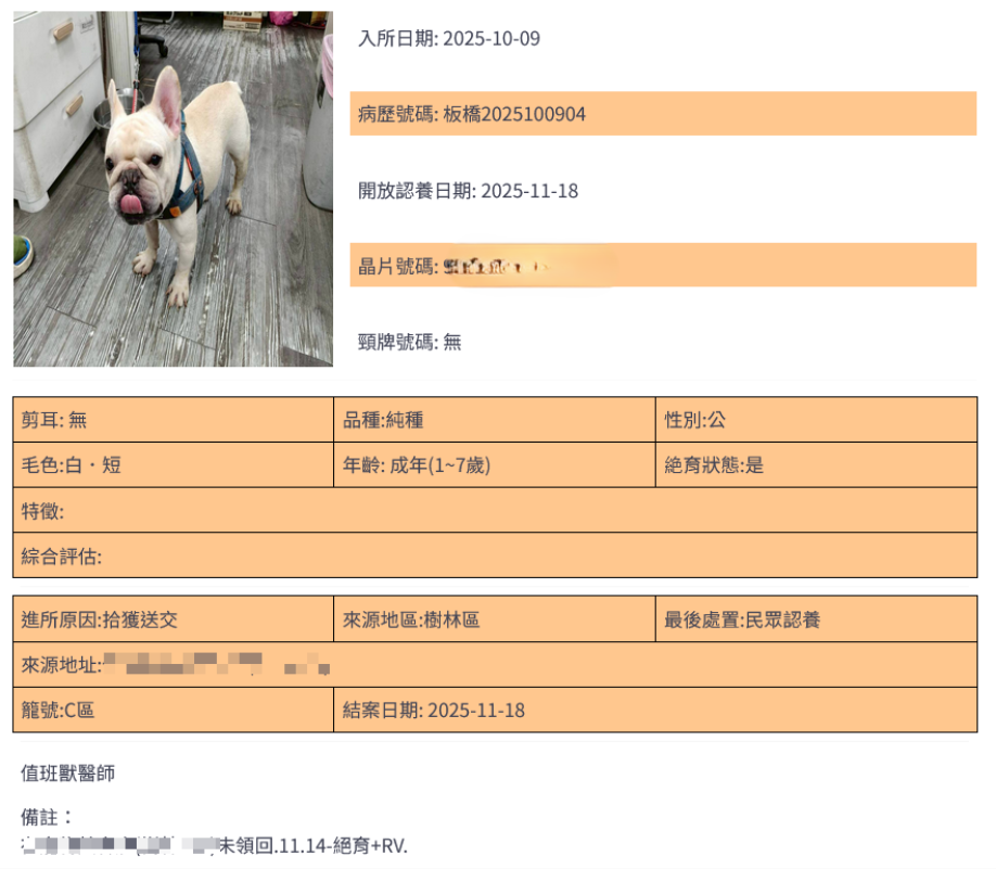 ▲新北動保處推犬貓絕育補助。（圖／新北市動保處提供）
