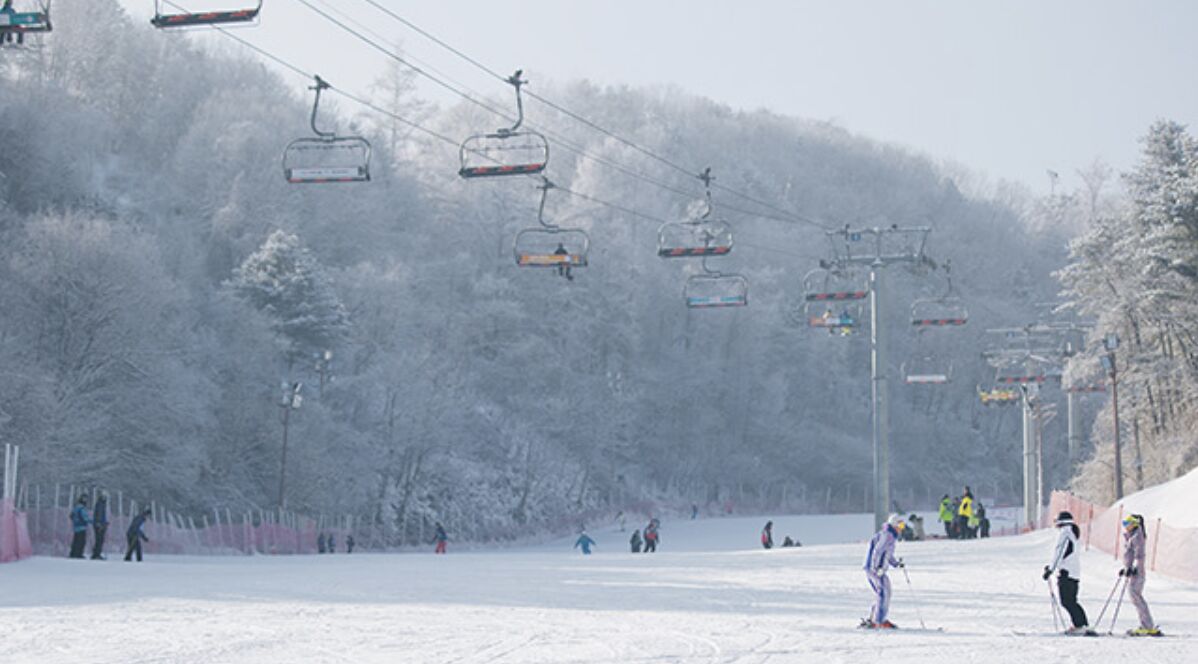 ▲▼韓國伊利希安江村滑雪場。（圖／翻攝自伊利希安江村滑雪場官網）