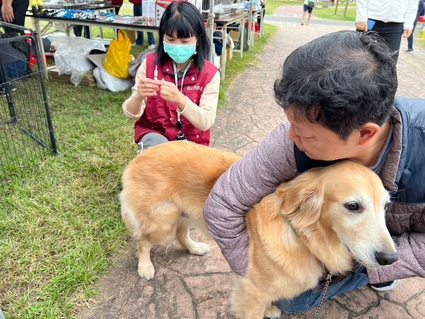 ▲新北動保處推犬貓絕育補助。（圖／新北市動保處提供）