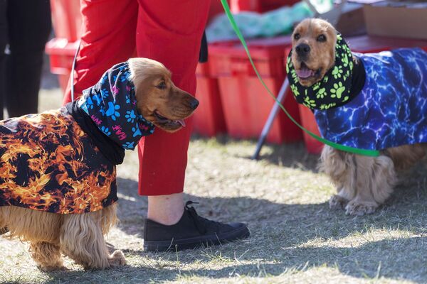 ����½ʷ��������Ȯ�涨��·�� ��ͼ/CFP��