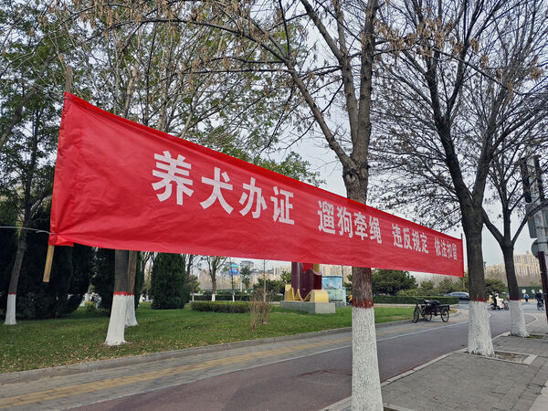 ������Ȯ�涨��·   �Զ����ơ��й���¼����