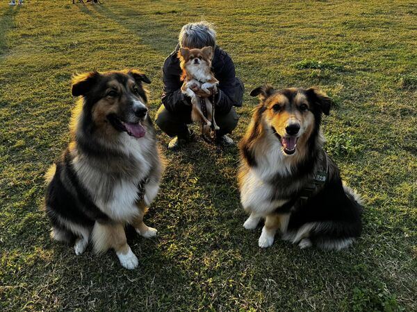 米克斯大狗狗大熊。（圖／粉專「大熊與FiFi的反差萌日記」提供／資料照片）