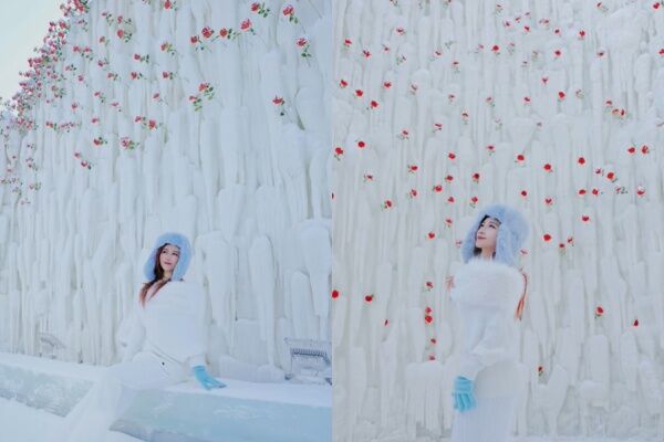 ▲▼哈爾濱冰雪大世界 玫瑰冰瀑。（圖／翻攝自小紅書）