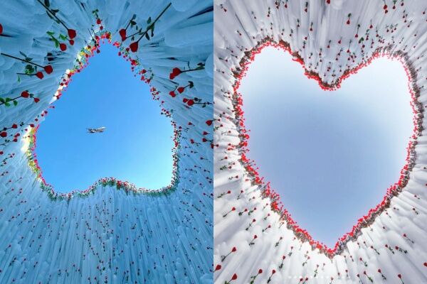 ▲▼哈爾濱冰雪大世界 玫瑰冰瀑。（圖／翻攝自小紅書）