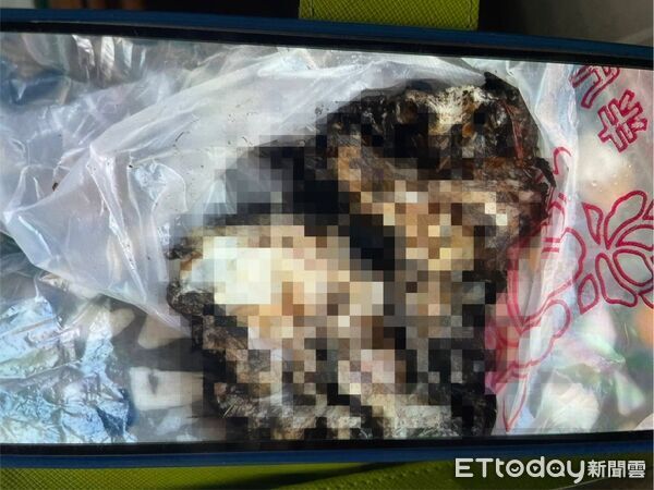 ▲▼家門口有屍塊！高雄阿姨驚「碎屍魔再現」嚇壞報案　兇手曝光超可愛。（圖／記者許宥孺翻攝）