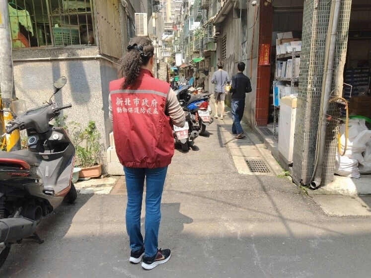 ▲新北盤點遊蕩犬與工廠犬。（圖／新北市動保處提供）